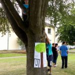 13731664_1008800222567105_8122316216417181774_n