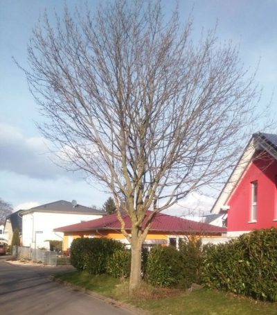 c4392ff6-84d6-44cd-98a7-fc0689e488bd