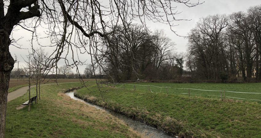 GRN_SWST_Morenhoven_Swistaue_IMG_6211